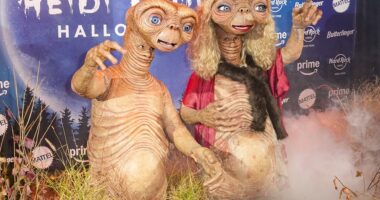 Heidi Klum looked unrecognizable as she transformed into ET for her Halloween couple's costume with husband Tom Kaulitz