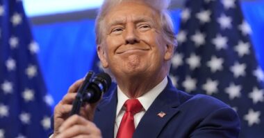 He's Back! Trump's Hysterically Funny Response to Mark Cuban Insulting the Women Around Him – RedState