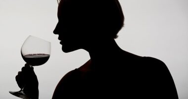 Gatherings of Alcoholics Anonymous are famously private, but Antonia Hoyle was granted rare access to one in a sleepy middle-class town