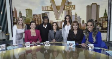 Hilarious Moments As 'The View' Has to Read Multiple Legal Notes in One Episode – RedState