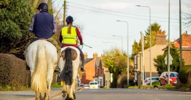 The Highway Code requires drivers to pass horses at a maximum of 10mph and a distance of at least two metres or six feet. Picture: Stock image of horse riders on the road side