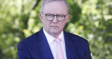 The Australian government is the nation's biggest spender on Facebook ads despite pushing misinformation laws that would see social media companies fined over harmful posts (Prime Minister Anthony Albanese is pictured)