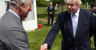 Boris Johnson meeting the King at the National Memorial Arboretum in Airewas, Staffordshire. The former PM told an aide he 'went in quite hard' on Charles, who said he wanted to 'acknowledge the evils' of colonialism