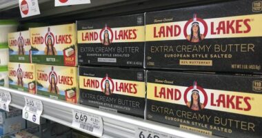 How Dumb Can Government Get? – HotAir