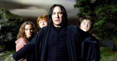 How HBO's Harry Potter Show Will Handle Actors' Growth Between Seasons Addressed By Exec