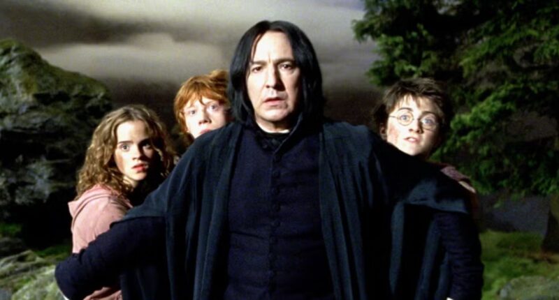 How HBO's Harry Potter Show Will Handle Actors' Growth Between Seasons Addressed By Exec