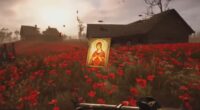 How To Find The Cellar In The Poppy Field