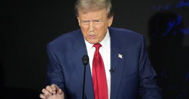 Donald Trump said during the debate with Kamala Harris in September: 'In Springfield, they are eating the dogs. The people that came in, they are eating the cats'