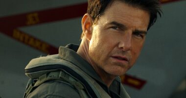The meteoric success of Tom Cruise's box office smash Top Gun: Maverick should have been a clue as to who was going to win the US election, a culture expert has said