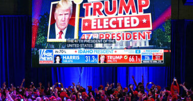 How to trade the post-election, post rate-cut melt-up