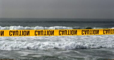 Prayers Up! Human Head Is Reportedly Identified As Victor Enrique Castaneda Jr. After It Washed Ashore On Florida Beach (UPDATE)