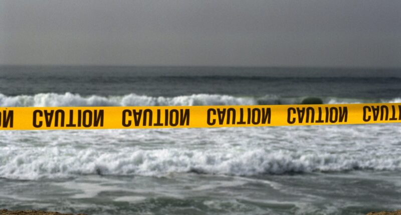 Prayers Up! Human Head Is Reportedly Identified As Victor Enrique Castaneda Jr. After It Washed Ashore On Florida Beach (UPDATE)