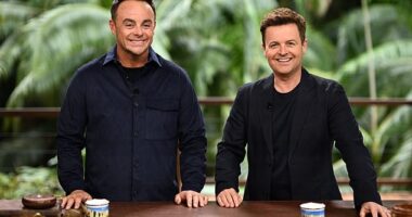 The full lineup for I'm A Celebrity Get Me Out Of Here! has reportedly been revealed, over two weeks before the new series is set to hit screens