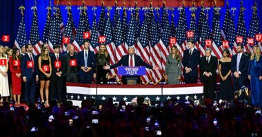 Donald Trump is pictured on stage with members of Team Trump after his landslide election victory