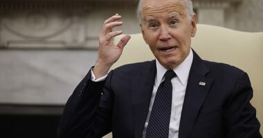 President Joe Biden's allies plotted a secret campaign to keep him in office