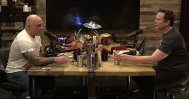 Joe Rogan and Elon Musk record an episode of the Joe Rogan Experience podcast
