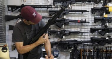 Iowa Supreme Court Upholds Controversial Mental Health Gun Ban – RedState