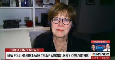Ann Selzer has built a reputation as 'Iowa's Polling Queen' and the 'best pollster in politics' over decades of conducting the Des Moines Register polls