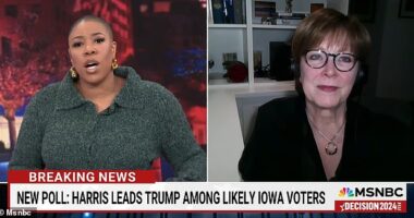 Ann Selzer (above, right on MSNBC on November 3, 2024), a well-respected political pollster, released a survey on Saturday finding Vice President Kamala Harris had suddenly surged to a three percentage point-lead in Iowa .