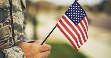 Is the stock market open on Veterans Day? Will the post office deliver mail?
