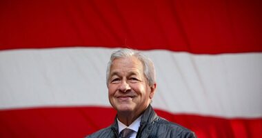 President-elect Donald Trump has reportedly been communicating with JPMorgan Chase CEO Jamie Dimon through secret back channels on economic policy ideas