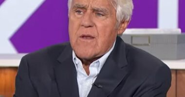 Jay Leno, 74, fell under social media fire after saying he felt Tuesday's election marked 'a great day for democracy' while adding that he 'was not a fan' of President-elect Donald Trump