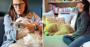Jennifer Garner's 9-year-old golden retriever, Birdie, dies