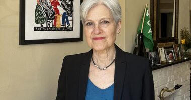 Dr. Jill Stein spoke by phone with DailyMail.com Thursday morning from Pittsburgh. For the third time, she's running as the Green Party's presidetial nominee and has attracted voters angry over the U.S.'s support for Israel's war on Gaza