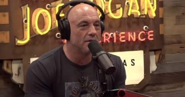 Joe Rogan Reveals Exactly Whose Job He Wants to Take if Elon Musk Buys MSNBC – RedState