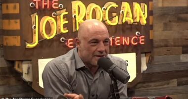 Joe Rogan has endorsed Donald Trump in the 2024 election after sitting down for Elon Musk for a two-hour interview