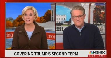 Joe Scarborough and Mika Brzezinski have revealed they visited president-elect Donald Trump at Mar-A-Lago over the weekend