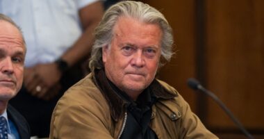 Judge Agrees To Postpone Steve Bannon's Trial On Border Fraud Charges
