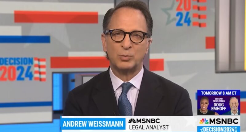 Judge Rules MSNBC Pundit Potentially Defamed Trump Attorney