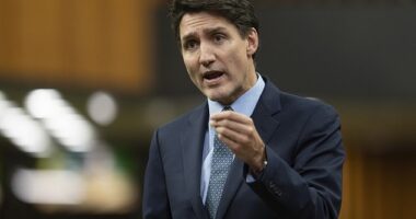 Justin Trudeau called President-elect Donald Trump just two hours after he threatened to impose tariffs on Canada Monday night