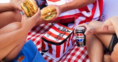 KFC Australia have launched the Cheesey Zinger and Cheesey Zinger Stacker for summer