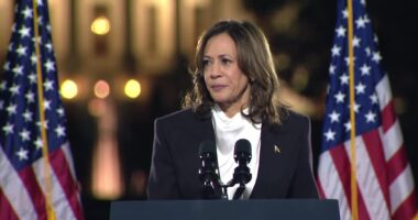Kamala Claims 100k Attended Her DC Rally... It Was Less Than Half That.