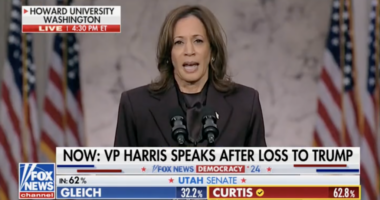 Vice President Kamala Harris concedes
