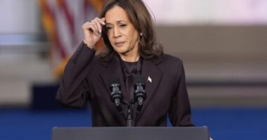 Kamala Harris Returns From Hawaiian Vacation, Immediately Reminds America That We Dodged a Bullet – RedState