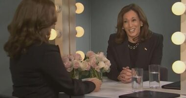 Kamala Harris was blasted for using her 'fake accent' during her surprise appearance on SNL on Saturday night