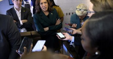 US Vice President and Democratic presidential candidate Kamala Harris speaks with members of the press aboard Air Force Two