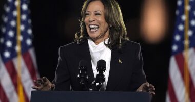 U.S. Vice President Kamala Harris speaks during a campaign rally