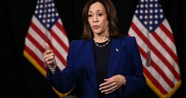 Kamala Harris said Donald Trump's comment on protecting women 'whether they want it or not' is offensive to men and women