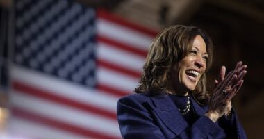Kamala Harris says 'we have momentum' in final plea to Michigan voters with two days to Election Day