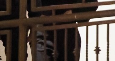 Kylie Jenner looked sleek in a black outfit as she enjoyed a dinner date with friends in Los Angeles this week