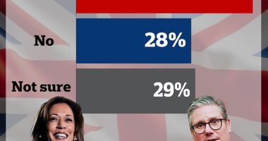 The final DailyMail.com poll shows 43 percent of U.S. voters think the U.K. is 'interfering'