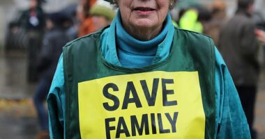 A protester holds a sign saying 'Save Family Farms during the rally in London on Wednesday