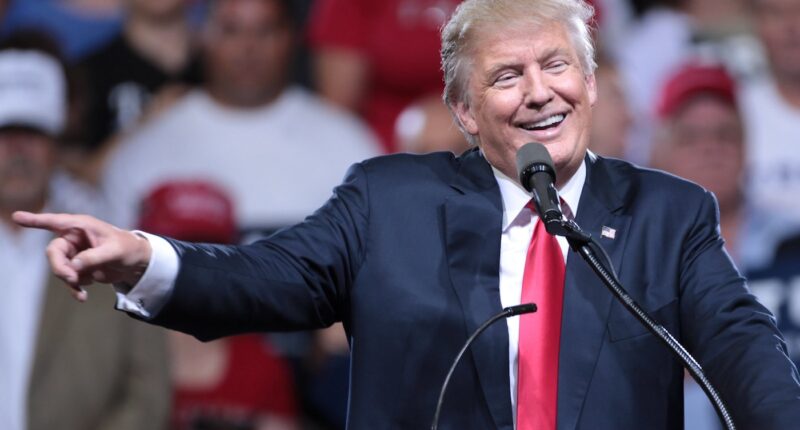 Laughter Is The Best Way To Respond To 2024's Election Results 