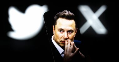 Libs Are Rage Quitting Musk’s ‘X.’ Here’s Where They’re Going.