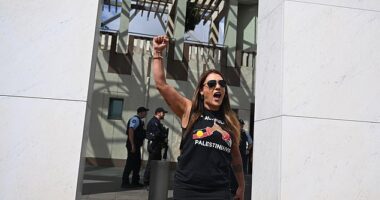 Senator Lidia Thorpe then turned up in the press gallery where she shouted 'free free Palestine , from the river to the sea Palestine will be free' before leaving (pictured: Ms Thorpe outside parliament after her protest)