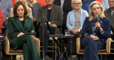Liz Cheney Hoax Is Another Desperate Attempt To Disqualify Trump